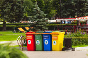 Reasons You Should Use a Professional Waste Collection Company